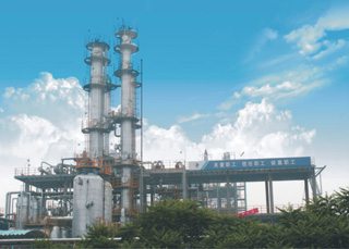 Zibo Plant